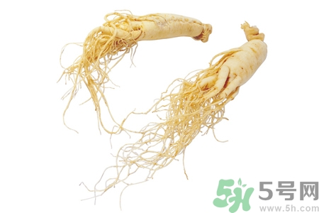 人參怎么吃效果最好？人參的做法大全