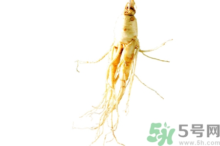 人參怎么吃效果最好？人參的做法大全
