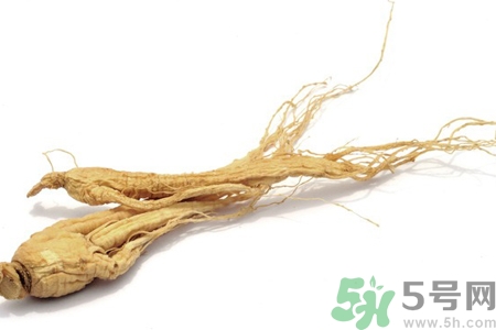 人參怎么吃效果最好？人參的做法大全