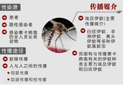 寨卡病毒對兒童的影響有哪些？寶寶如何避免及預防？