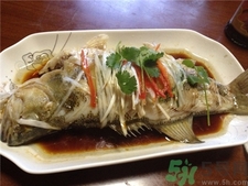 鱸魚的營養(yǎng)價(jià)值 鱸魚的功效與作用