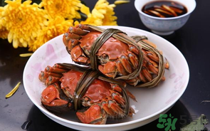 海蟹什么時(shí)候最肥？海蟹什么時(shí)候吃最好？