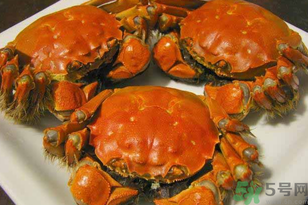 洪澤湖大閘蟹多少錢一斤？洪澤湖大閘蟹價格