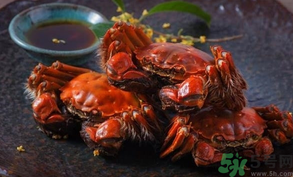 陽澄湖大閘蟹死了還能吃嗎？陽澄湖大閘蟹死了為什么不能吃？