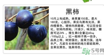 黑柿的營(yíng)養(yǎng)價(jià)值及功效 黑柿怎么吃？