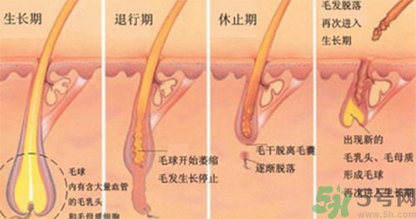 紋眉后要補色嗎？紋眉后多久可以補色？