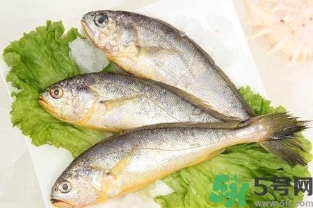 秋季適合吃什么魚？秋季吃魚的好處？