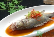 桂魚的營養價值 桂魚的功效與作用