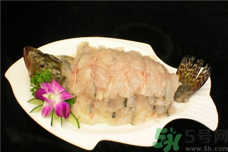 桂魚的營養價值 桂魚的功效與作用