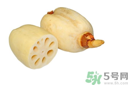 七孔藕和九孔藕那種好?九孔蓮藕和七孔蓮藕的區別 