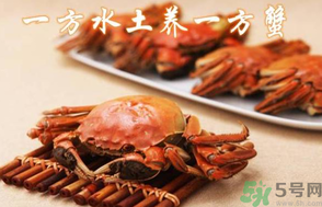 盤(pán)錦河蟹和陽(yáng)澄湖大閘蟹的區(qū)別？盤(pán)錦河蟹和陽(yáng)澄湖大閘蟹哪個(gè)比較好吃？