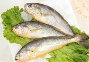 如何挑選新鮮魚？怎樣吃到不被污染的魚？