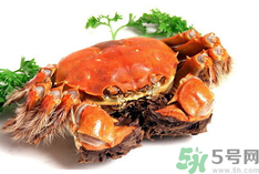 陽(yáng)澄湖大閘蟹是河蟹嗎？陽(yáng)澄湖大閘蟹和河蟹的區(qū)別