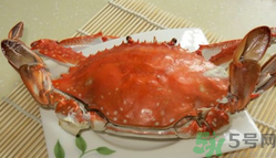河蟹和海蟹有什么區別？河蟹和海蟹哪個好吃？