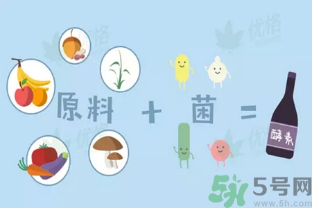 酵素是什么？吃酵素減肥有效果嗎？