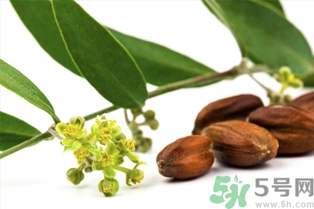 荷荷巴油可以直接擦臉嗎？荷荷巴油怎么去黑頭？