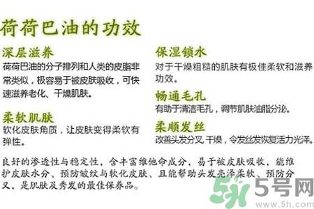 荷荷巴油可以直接擦臉嗎？荷荷巴油怎么去黑頭？