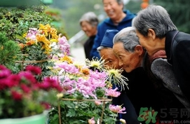 重陽節(jié)是陰歷還是陽歷？重陽節(jié)是什么意思？