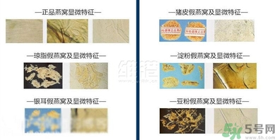 去香港買燕窩哪里好？香港哪里買燕窩比較好正宗？