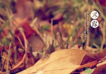 寒露是什么意思？寒露是幾月幾日