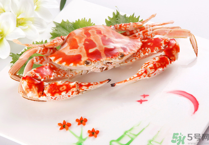 梭子蟹和花蟹的區別？梭子蟹和花蟹哪個好吃？