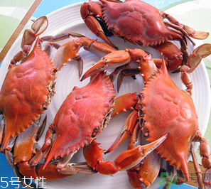 梭子蟹和飛蟹的區(qū)別？飛蟹是梭子蟹嗎？