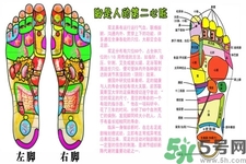 孕婦可以用生姜泡腳嗎？生姜泡腳的方法是什么？