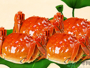 梭子蟹和大閘蟹的區(qū)別？梭子蟹和大閘蟹哪個(gè)好？