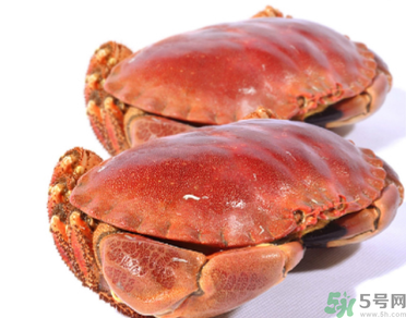 面包蟹多少錢一斤？面包蟹多少錢一只？