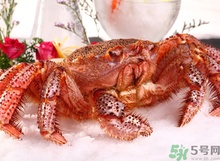 海蟹死了可以吃嗎？海蟹死了多久還能吃？