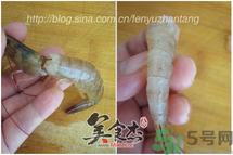 活蝦怎么處理干凈蝦線？活蝦怎么去蝦線？