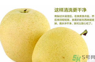 皇冠梨是雪梨嗎？皇冠梨和雪梨的區(qū)別