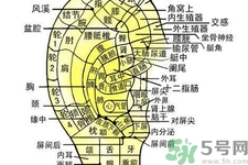 每天揉耳朵有什么好處？?揉耳朵的正確方法是什么？