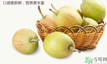 孕婦能吃香梨嗎？香梨孕婦可以吃嗎？
