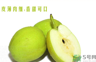 孕婦能吃香梨嗎？香梨孕婦可以吃嗎？