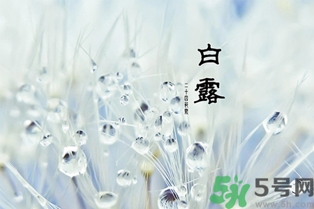 白露節吃什么？白露節的傳統美食有哪些？