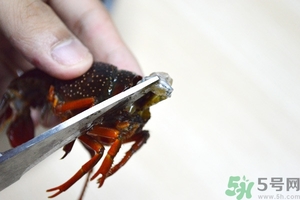 活蝦怎么處理干凈蝦線？活蝦怎么去蝦線？