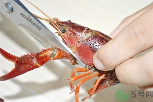 活蝦怎么處理干凈蝦線？活蝦怎么去蝦線？