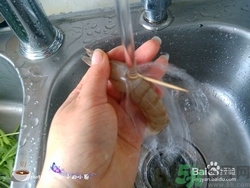 活蝦怎么處理干凈蝦線？活蝦怎么去蝦線？