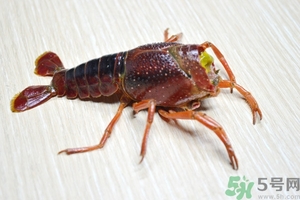 活蝦怎么處理干凈蝦線？活蝦怎么去蝦線？