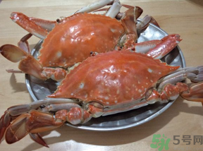 海蟹蒸多長(zhǎng)時(shí)間？海蟹蒸多長(zhǎng)時(shí)間最好吃？