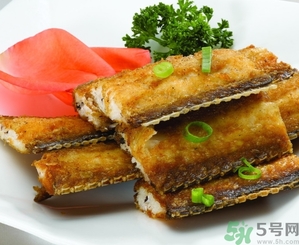 帶魚是發物嗎？手術后可以吃帶魚嗎？