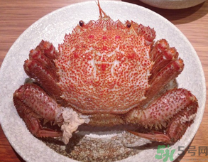 紅毛蟹怎么吃?紅毛蟹怎么做好吃? 紅毛蟹怎么吃?紅毛蟹怎么做好吃?