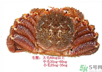 毛蟹蒸多長時間？毛蟹蒸多久會熟？