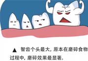 智齒拔了好不好？智齒能不拔嗎？