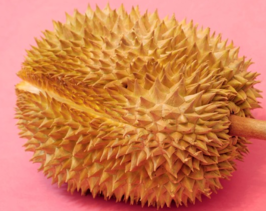 柿子吃了上火嗎?吃柿子上火嗎? 柿子吃了上火嗎?吃柿子上火嗎?
