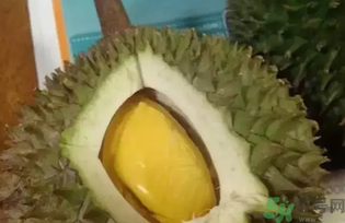 榴蓮吃多了會怎么樣?榴蓮吃多了好嗎? 榴蓮吃多了會怎么樣?榴蓮吃多了好嗎?