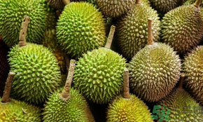 榴蓮可以冷凍保存嗎?榴蓮放冰箱是冷藏還是冷凍? 榴蓮可以冷凍保存嗎?榴蓮放冰箱是冷藏還是冷凍?