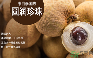 泰國龍眼和普通龍眼什么區(qū)別？泰國龍眼和普通龍眼哪個(gè)好？