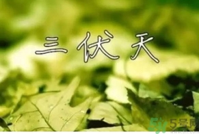 三伏天可以理發(fā)嗎？三伏天為什么不能理發(fā)？